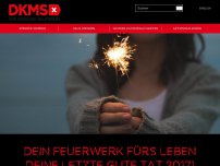 Bild zum Artikel: Dein Feuerwerk fürs Leben Deine letzte gute Tat 2017!