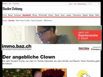 Bild zum Artikel: Der angebliche Clown