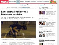 Bild zum Artikel: Schutz von Kindern: Liste Pilz will Verkauf von Feuerwerk verbieten