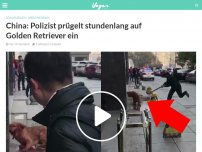 Bild zum Artikel: China: Polizist prügelt stundenlang auf Golden Retriever ein