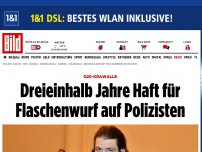 Bild zum Artikel: G20-Krawalle - Dreieinhalb Jahre Haft für Flaschenwurf auf Polizisten