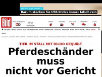 Bild zum Artikel: Tier mit Dildo gequält - Pferdeschänder muss nicht vor Gericht