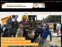 Bild zum Artikel: Finanzexperte: Die Flüchtlingskrise kostet Deutschland fast eine Billion Euro