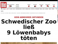 Bild zum Artikel: Kein Abnehmer gefunden - Schwedischer Zoo ließ neun Löwenbabys töten