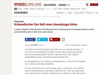 Bild zum Artikel: Platzmangel: Schwedischer Zoo ließ neun Löwenjunge töten