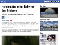 Bild zum Artikel: Hundemutter rettet Baby vor dem Erfrieren