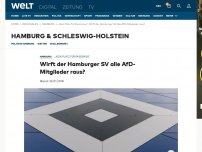 Bild zum Artikel: Wirft der Hamburger SV alle AfD-Mitglieder raus?