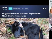 Bild zum Artikel: Ausgesetzter Hund starb mit zugeklebtem Maul: Zwei Tatverdächtige