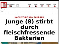 Bild zum Artikel: Nach Sturz vom Fahrrad - Junge (8) stirbt durch fleischfressende Bakterien