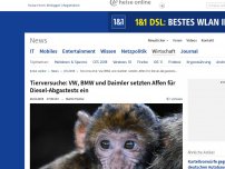 Bild zum Artikel: Tierversuche: VW, BMW und Daimler setzten Affen für Diesel-Abgastests ein