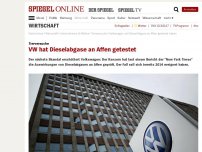 Bild zum Artikel: Tierversuche: VW hat Diesel-Abgase an Affen getestet