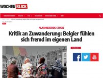 Bild zum Artikel: Kritik an Zuwanderung: Belgier fühlen sich fremd im eigenen Land