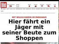 Bild zum Artikel: Mit Beute zum Shoppen - Was macht ein Wild- schwein im AEZ-Parkhaus?