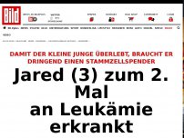 Bild zum Artikel: Stammzellspender gesucht - Jared (3) zum 2. Mal an Leukämie erkrankt