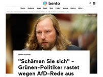 Bild zum Artikel: 'Schämen Sie sich' - Grünen-Politiker rastet wegen AfD-Rede aus