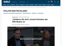 Bild zum Artikel: „Schämen Sie sich“, schreit Hofreiter den AfD-Redner an