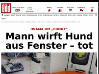 Bild zum Artikel: Drama um „Bonny“ - Mann wirft Hund aus Fenster – tot