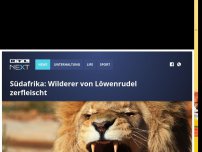 Bild zum Artikel: Südafrika: Wilderer von Löwenrudel zerfleischt