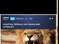 Bild zum Artikel: Südafrika: Wilderer von Löwenrudel zerfleischt