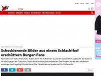 Bild zum Artikel: Fleischlieferant von McDonald's: Schockierende Bilder aus einem Schlachthof erschüttern Burger-Fans