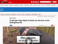 Bild zum Artikel: Ärger in Berlin - 76-Jähriger kippt Äpfel im Wald aus: Berliner droht Gefängnisstrafe