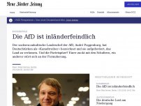 Bild zum Artikel: Die AfD ist inländerfeindlich