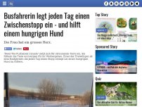 Bild zum Artikel: Busfahrerin legt jeden Tag einen Zwischenstopp ein - und hilft einem hungrigen Hund