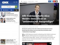 Bild zum Artikel: AfD-Fraktionschefin Alice Weidel: Deniz Yücel ist 'antideutscher Hassprediger'