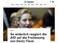 Bild zum Artikel: So widerlich reagiert die AfD auf die Freilassung von Deniz Yücel