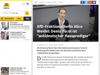 Bild zum Artikel: AfD-Fraktionschefin Alice Weidel: Deniz Yücel ist 'antideutscher Hassprediger'