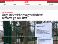 Bild zum Artikel: Erneut Schaf im Streichelzoo in der Hasenheide geschlachtet!