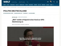 Bild zum Artikel: „Bild“ meldet erfolgreich einen Hund zur SPD-Abstimmung an