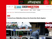 Bild zum Artikel: Tierheim Essen: Obdachlose können ihre Hunde über Nacht abgeben