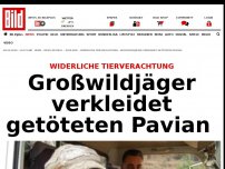 Bild zum Artikel: Widerliche Tierverachtung - Großwildjäger verkleidet getöteten Pavian