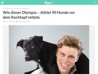 Bild zum Artikel: Wie dieser Olympia – Athlet 90 Hunde vor dem Kochtopf rettete