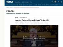 Bild zum Artikel: Joschka Fischer sieht „viele Nazis“ in der AfD