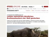 Bild zum Artikel: In kenianischem Wildtierreservat: Letztes männliches Nördliches Breitmaulnashorn der Welt gestorben