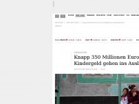 Bild zum Artikel: Knapp 350 Millionen Euro Kindergeld an Auslandskonten