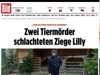 Bild zum Artikel: „Wir hatten Hunger!“ - Zwei Tiermörder schlachteten Ziege Lilly 