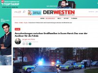 Bild zum Artikel: Auseinandersetzung mit „Drohkulisse“ zwischen Großfamilien in Essen-Horst – Polizei rückt mit Hundertschaft an