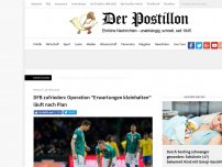 Bild zum Artikel: DFB zufrieden: Operation 'Doch kein WM-Topfavorit' läuft nach Plan