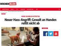 Bild zum Artikel: Neuer Hass-Angriff: Gewalt an Hunden reißt nicht ab