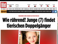 Bild zum Artikel: Madden und seine Katze Moon - Junge (7) findet seinen tierischen Doppelgänger