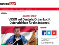 Bild zum Artikel: VIDEO auf Deutsch: Orban kocht Osterschinken für das Internet!