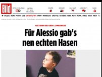 Bild zum Artikel: Ostern bei den Lombardis - Für Alessio gab's nen echten Hasen 