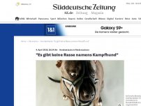 Bild zum Artikel: 'Es gibt keine Rasse namens Kampfhund'