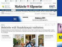 Bild zum Artikel: Behörde will Hundehospiz verbieten