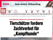 Bild zum Artikel: Chico biss tödlich zu - Tierschützer: Zuchtverbot für „Kampfhunde“!