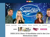 Bild zum Artikel: DAS sind die Liveshow-Kandidaten