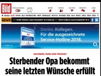 Bild zum Artikel: Eiscreme, Hund & Whiskey - Krankenschwestern erfüllen Opa die letzten Wünsche